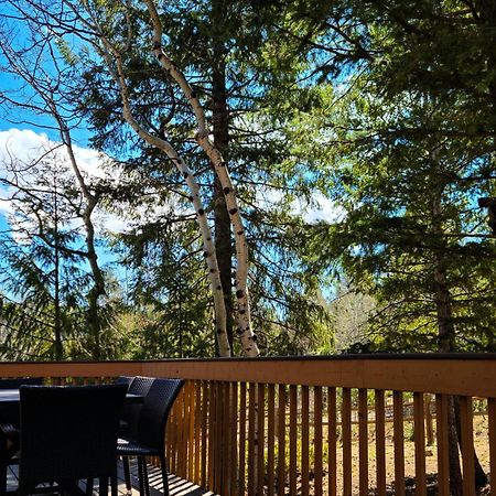 Timber Wolf Villa Woodland Park Ngoại thất bức ảnh